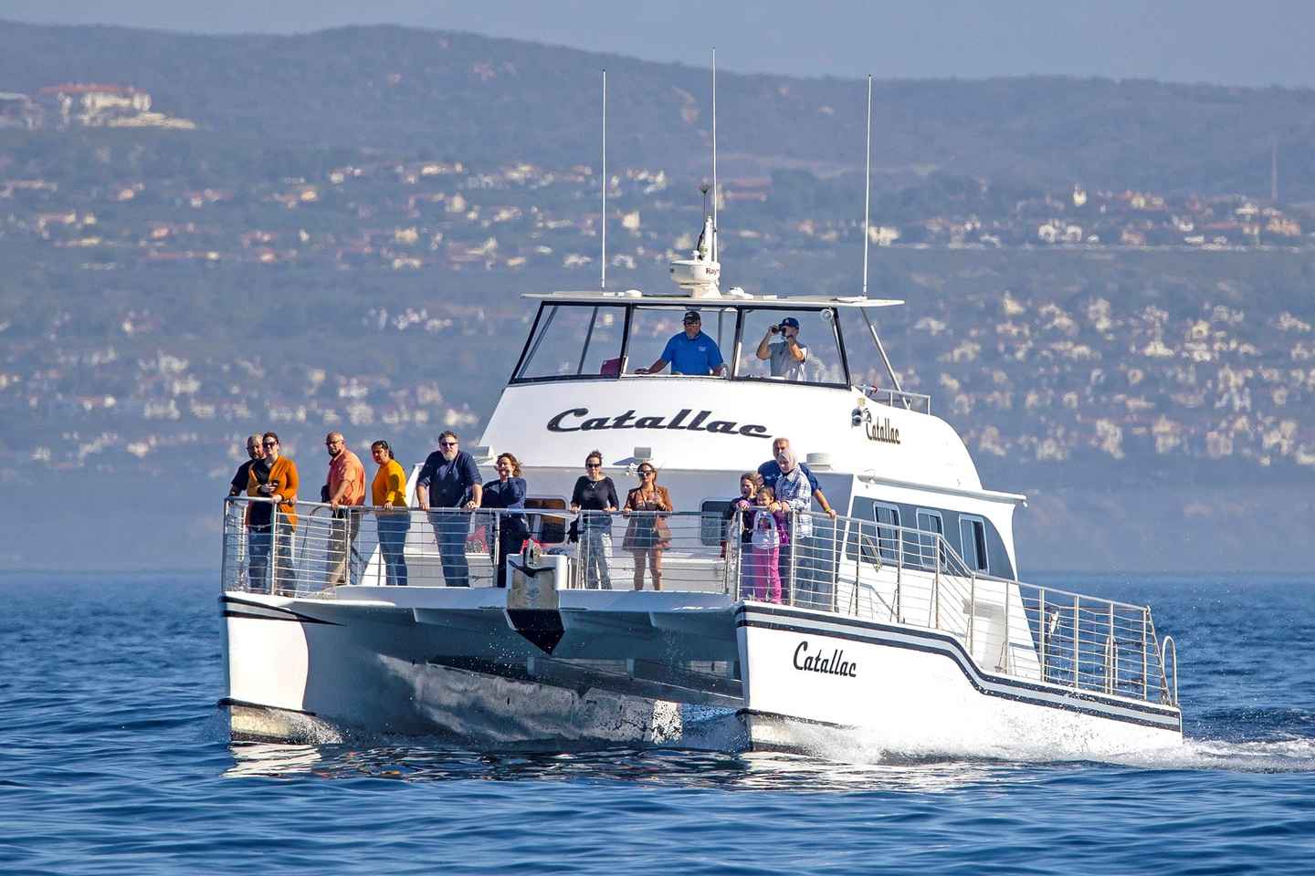 Newport Beach: Luxury Whale Watching Catamaran Cruise thumbnail